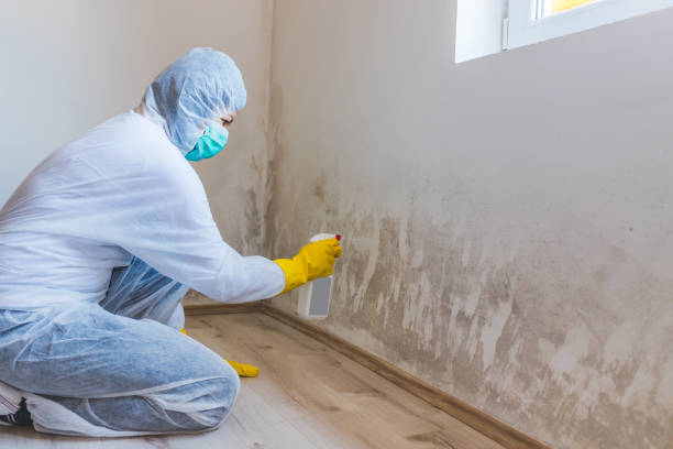 Crawl Space Mold Removal in Norwalk, CT