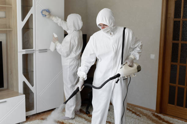 Best Mold Damage Repair  in Norwalk, CT