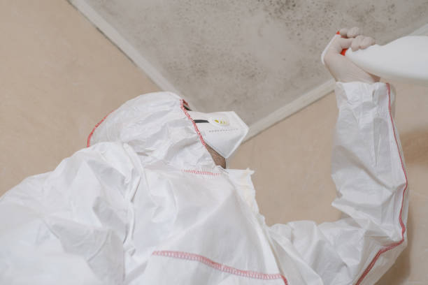 Water Damage Restoration in Norwalk, CT