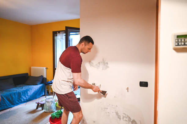 Best Emergency Mold Removal  in Norwalk, CT